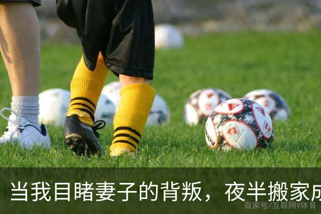 当我目睹妻子的背叛，夜半搬家成了我的“治愈文